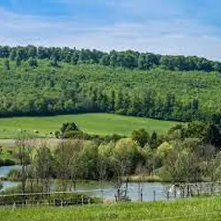 Fuchsrevier Fox District